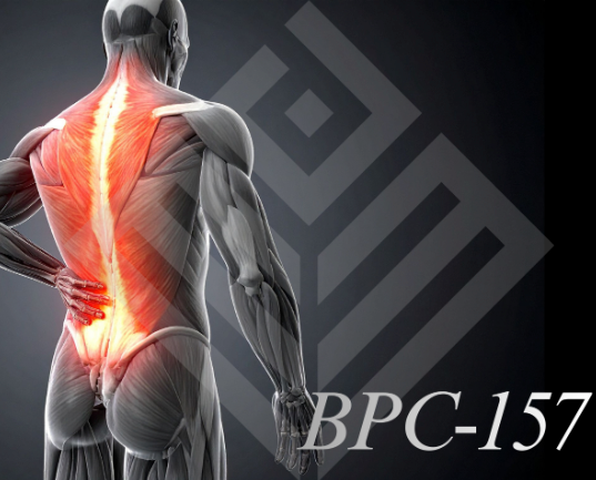 bpc 157
